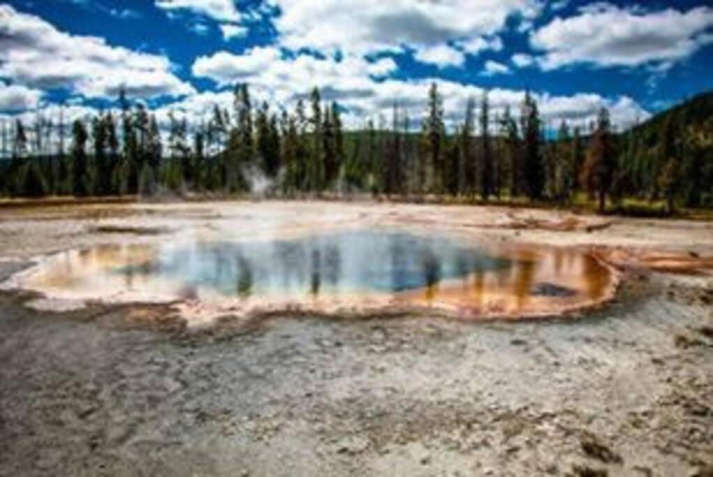 White Owl Retreat Yellowstone Grand Teton Island Park Exterior foto