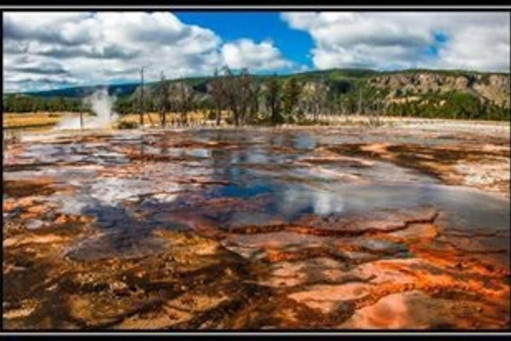 White Owl Retreat Yellowstone Grand Teton Island Park Exterior foto